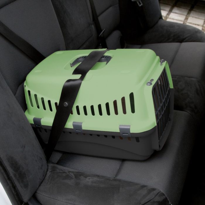 Plastičen transporter