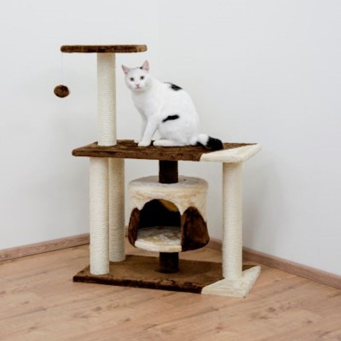 Mačji praskalnik s stebri