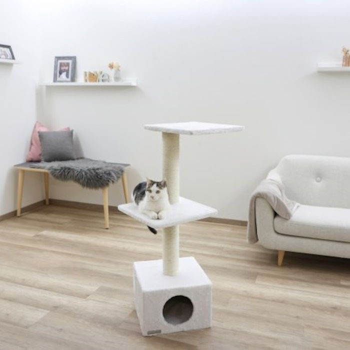 Praskalnik z votlino