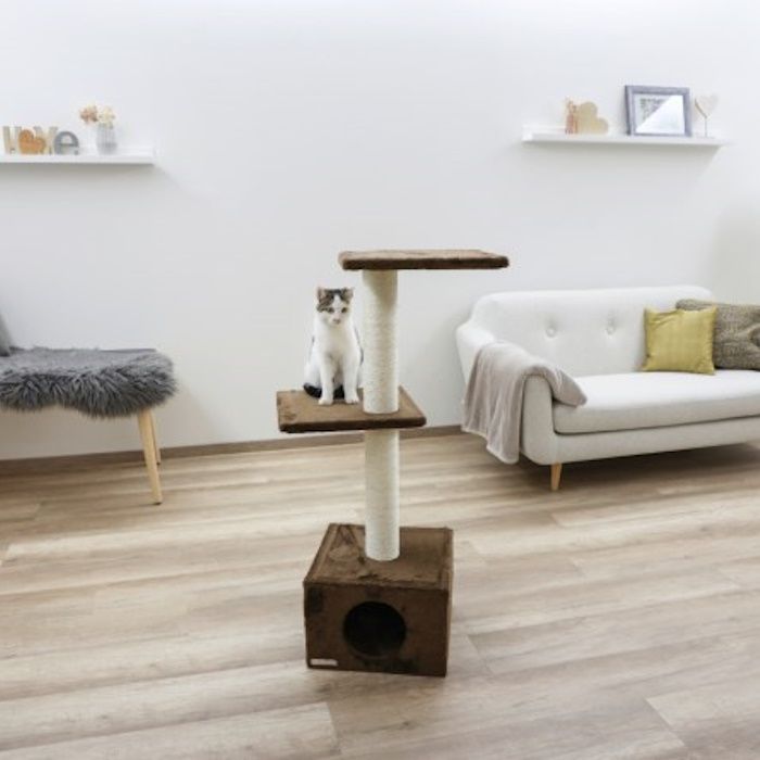 Praskalnik z votlino