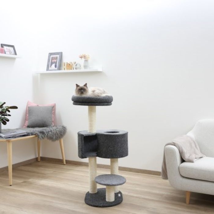 Moderen praskalnik Fridolin