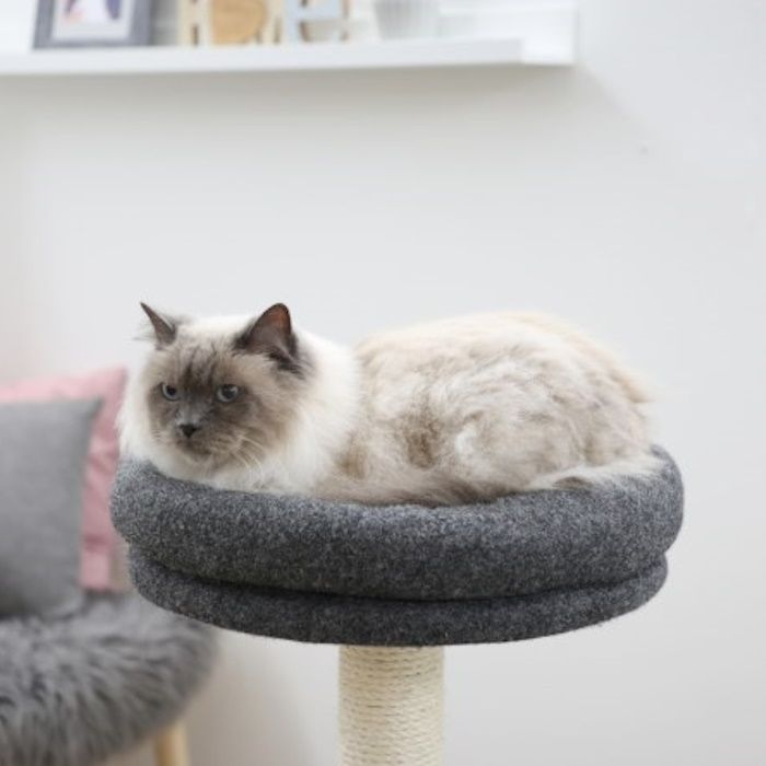 Moderen praskalnik Fridolin