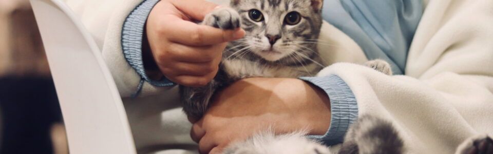 Farmina Vet Life za mačke