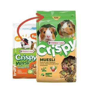 Crispy Muesli Guinea Pig za morske prašičke