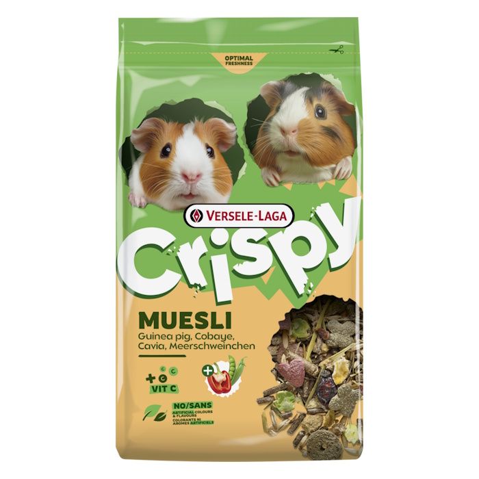 Crispy Muesli Guinea Pig