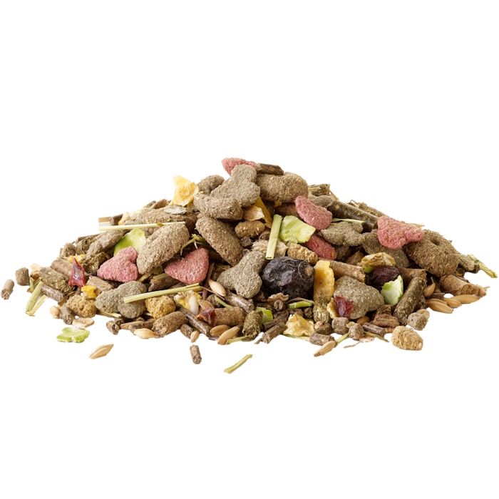 Crispy Muesli Guinea Pig