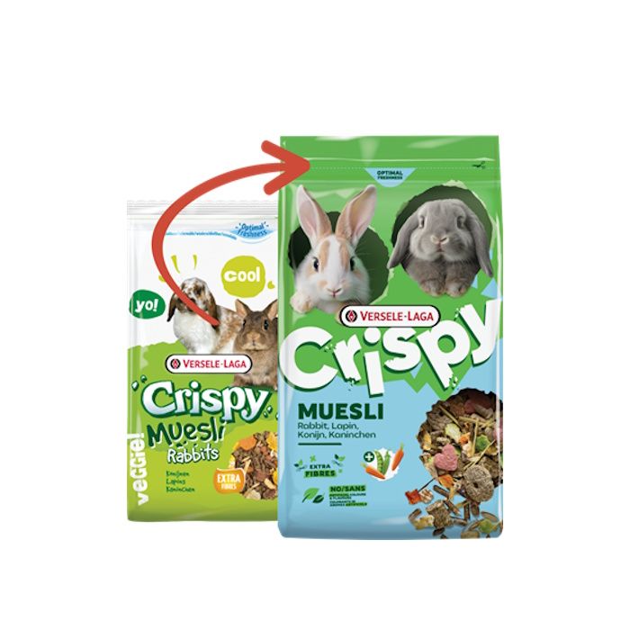 Crispy Muesli Rabbit