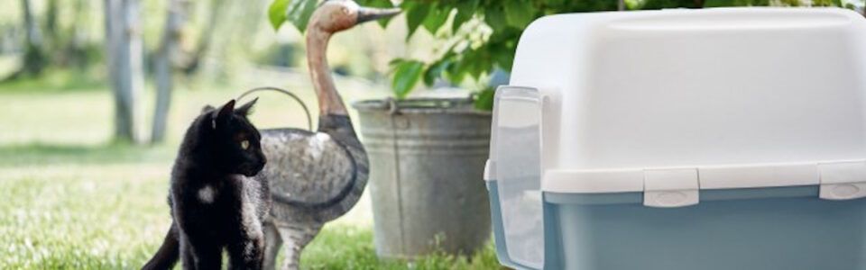 Stranišče za mačke