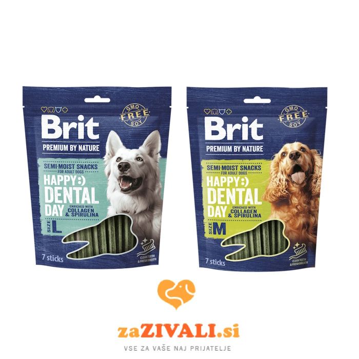 Dentalne palčke Brit