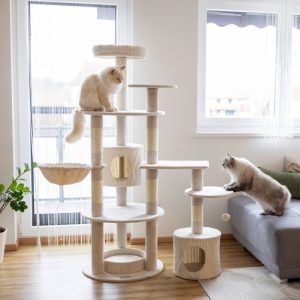 Moderno drevo za več mačk