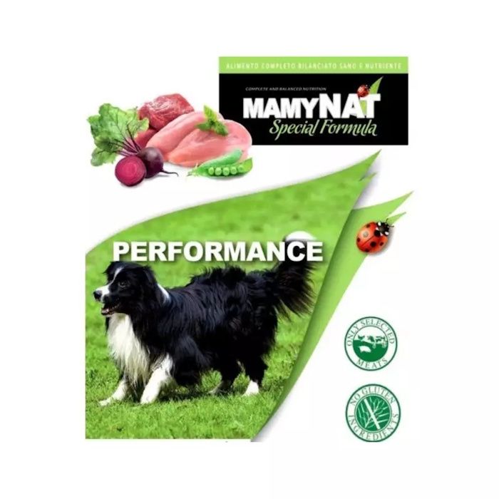 MamyNAT Performance