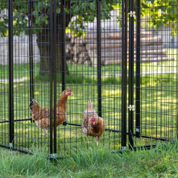 Ograda za kokoši