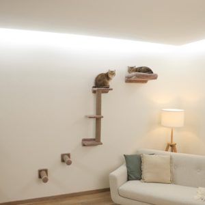 Plezalna stena Mont Alp