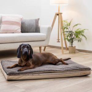 Večnamenska ortopedska postelja za psa