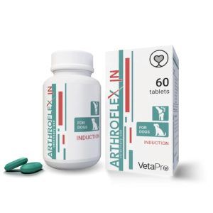 Arthroflex IN