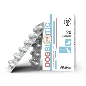 Dog Biotic